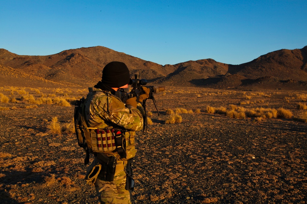 Marksmanship training