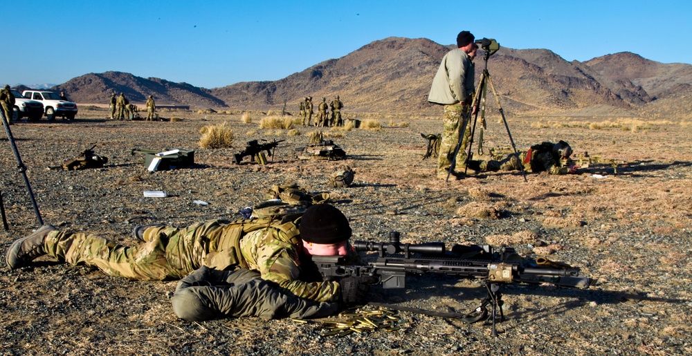 Marksmanship training