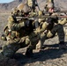 Marksmanship training