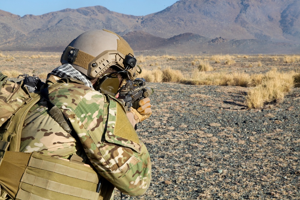 Marksmanship training