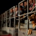 Panetta farewell