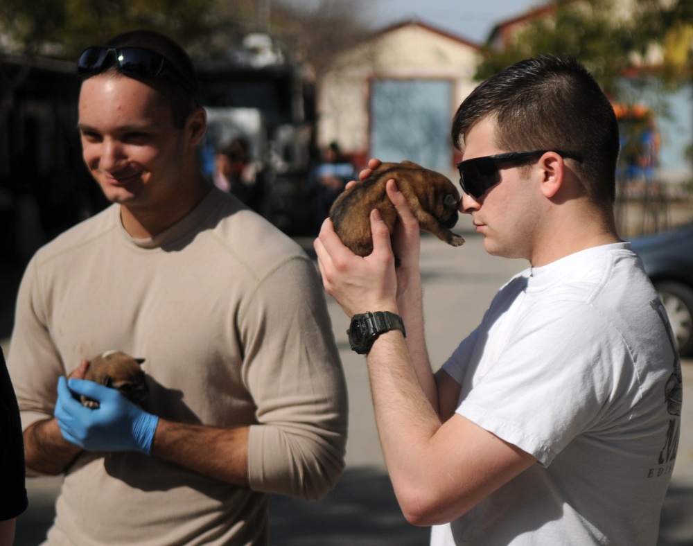 Deployed airmen volunteer at local pet shelter