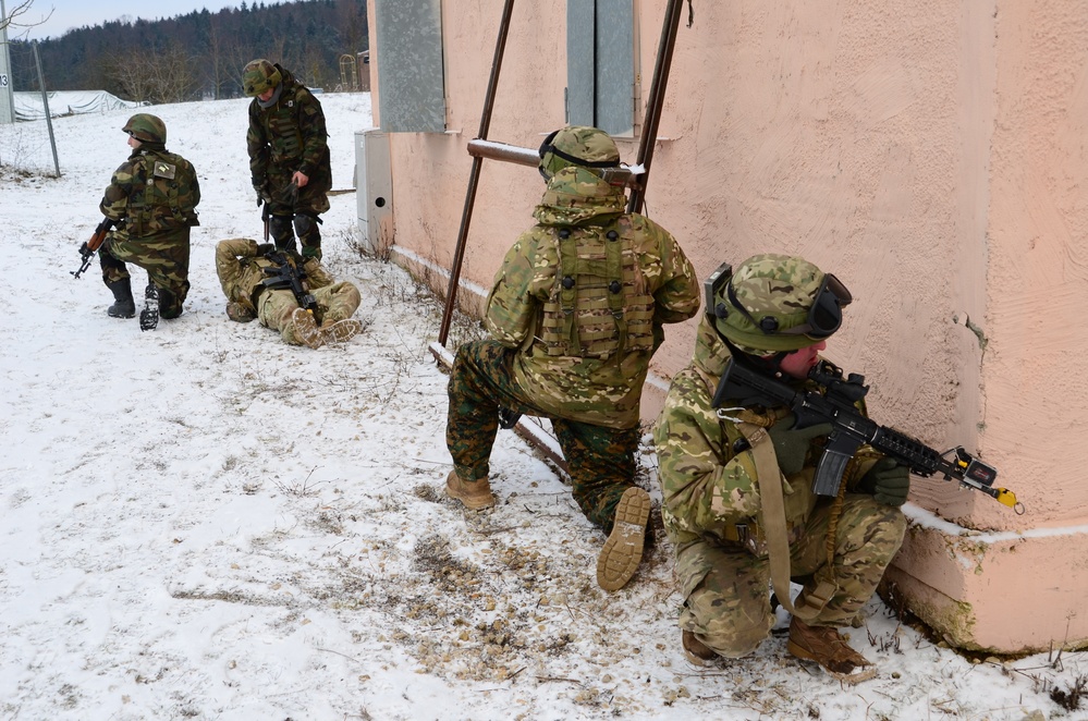 Georgian Regimental Combat Team mission rehearsal exercise