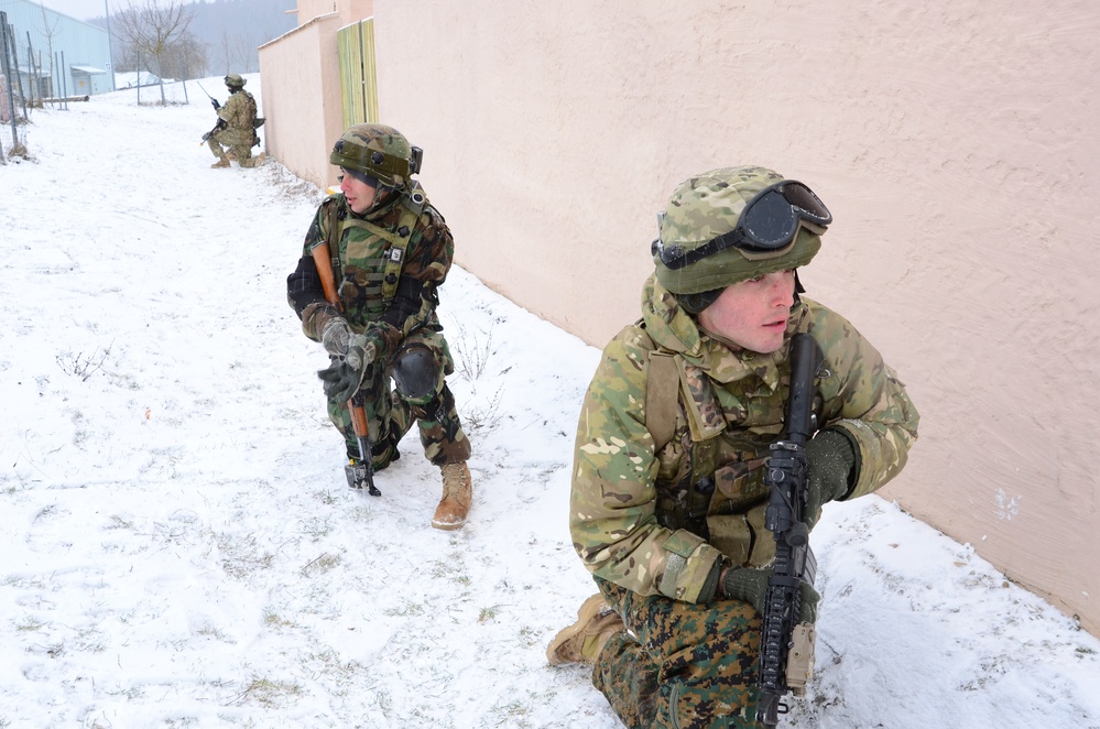 Georgian Regimental Combat Team mission rehearsal exercise