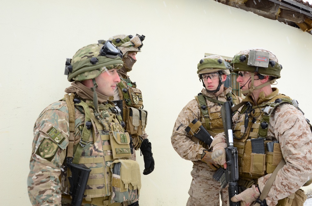 Georgian Regimental Combat Team mission rehearsal exercise