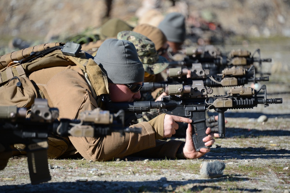 Tactical Firearms Training Team / Quickshot Winter 2013