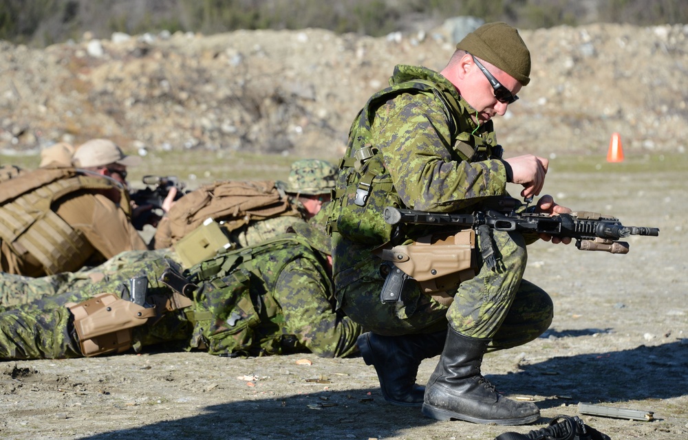 Tactical Firearms Training Team / Quickshot Winter 2013