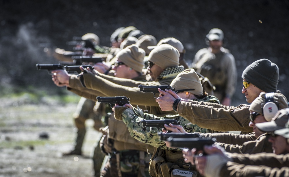 Tactical Firearms Training Team / Winter Quick Shot 2013