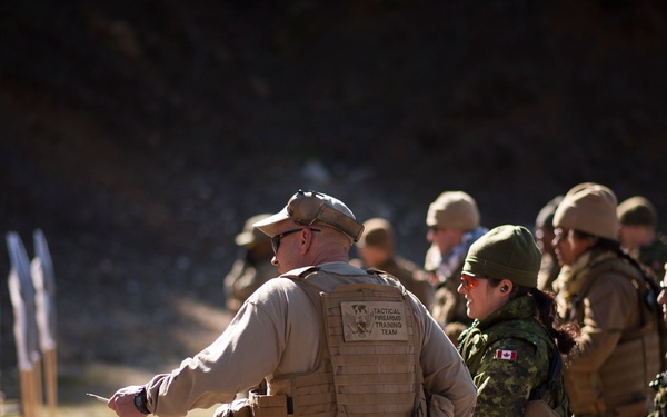 Tactical Firearms Training Team / Quickshot Winter 2013