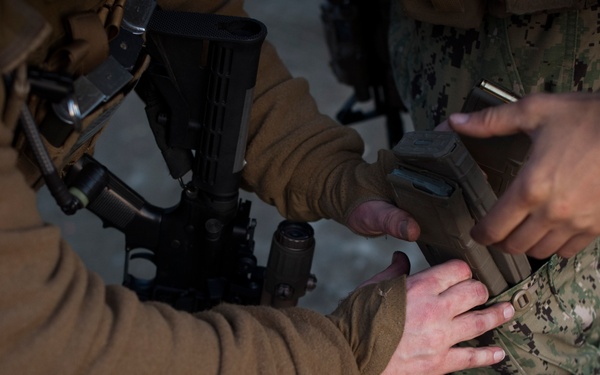 Tactical Firearms Training Team / Quickshot Winter 2013