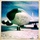 108th Wing removes snow from winter storm Nemo A U.S. Air Force aircraft, identified as serial number 3544 assigned to the 108th Wing, is parked on a snow-covered tarmac under a partly cloudy blue sky. The image has a vintage Instagram-style filter applied, giving it warm tones and vignetting. The aircraft appears to be a KC-135 Stratotanker based on its distinctive nose profile and engine configuration.