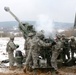 2nd Cavalry Regiment Rehearsal Exercise 2013