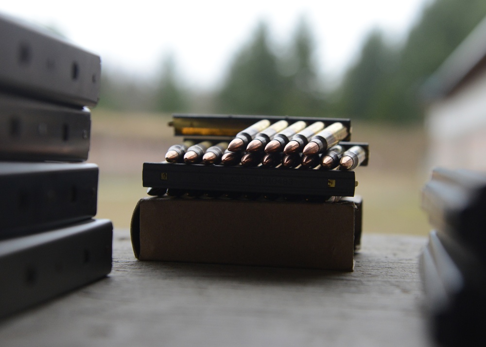 M16 rounds