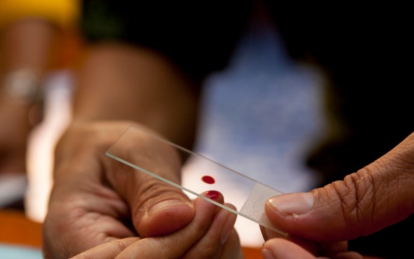 Exercise Cobra Gold 2013