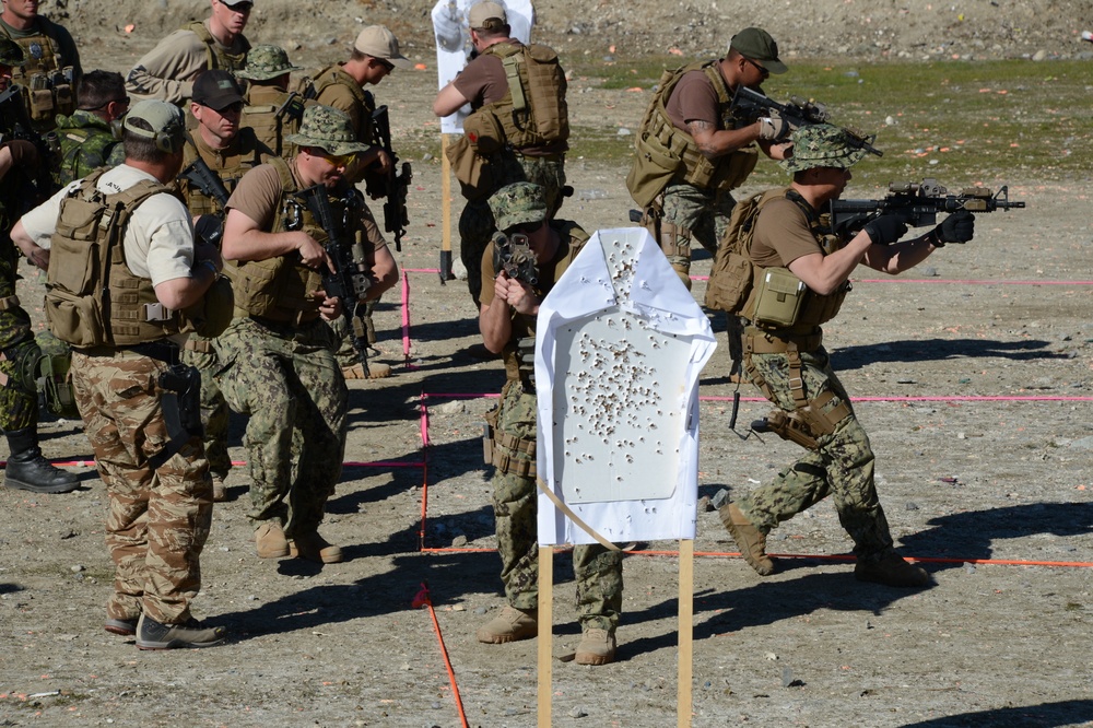 Tactical Firearms Training Team / Winter Quick Shot 2013