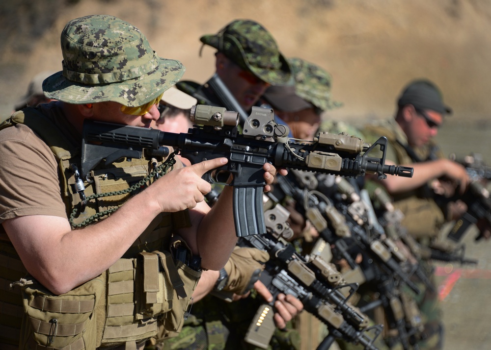 Tactical Firearms Training Team / Winter Quick Shot 2013