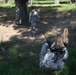 Tactical training