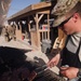 113th soldiers complete mission in Afghanistan