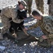 Task Force Brawler wounded working dog training session