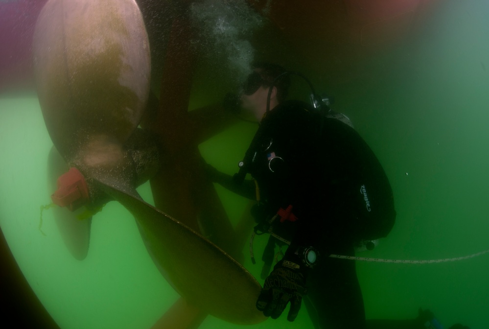 Anti-terrorism force protection inspection dive