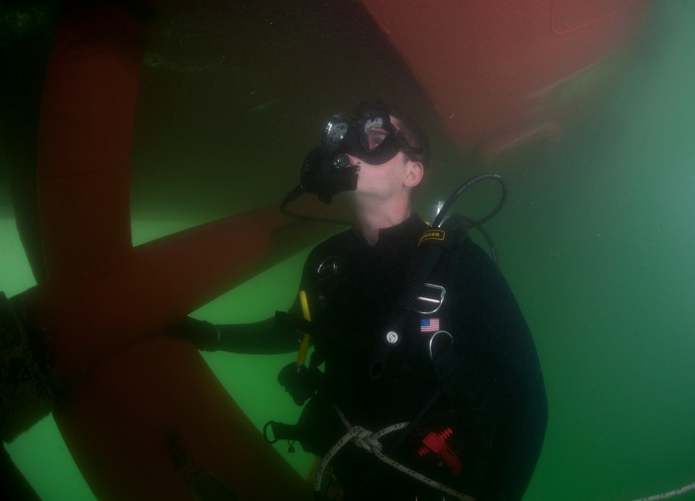 Anti-terrorism force protection inspection dive