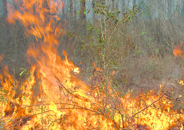 Base conducts prescribed burn