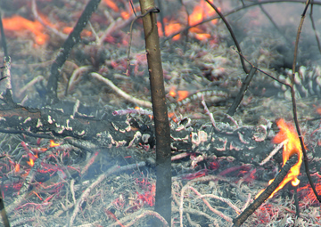 Base conducts prescribed burn