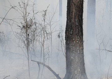 Base conducts prescribed burn
