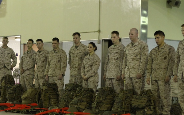 Birds gotta fly, Marines gotta swim