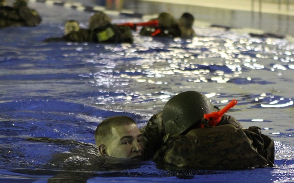 Birds gotta fly, Marines gotta swim