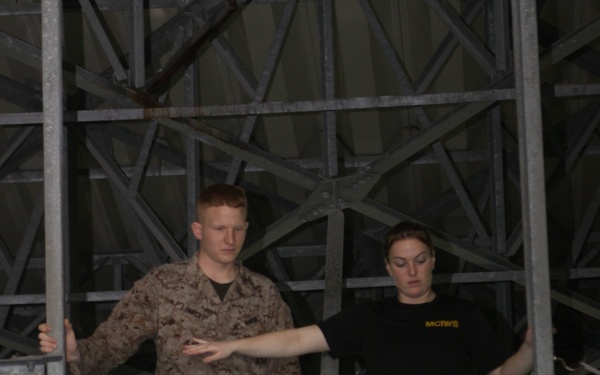 Birds gotta fly, Marines gotta swim