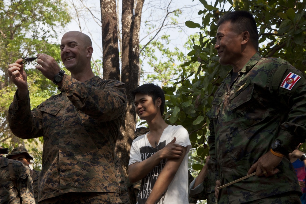 Exercise Cobra Gold 2013