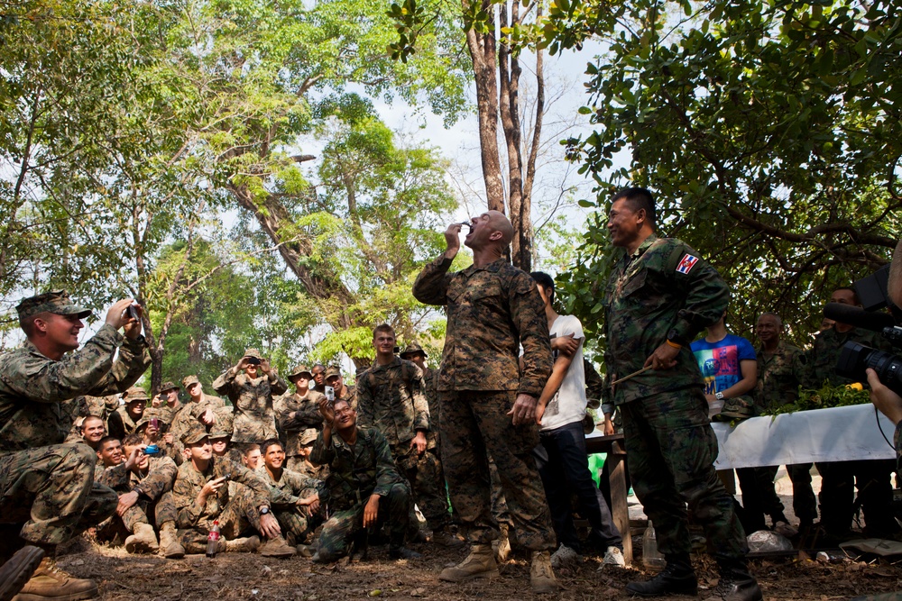 Exercise Cobra Gold 2013
