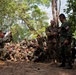 Exercise Cobra Gold 2013
