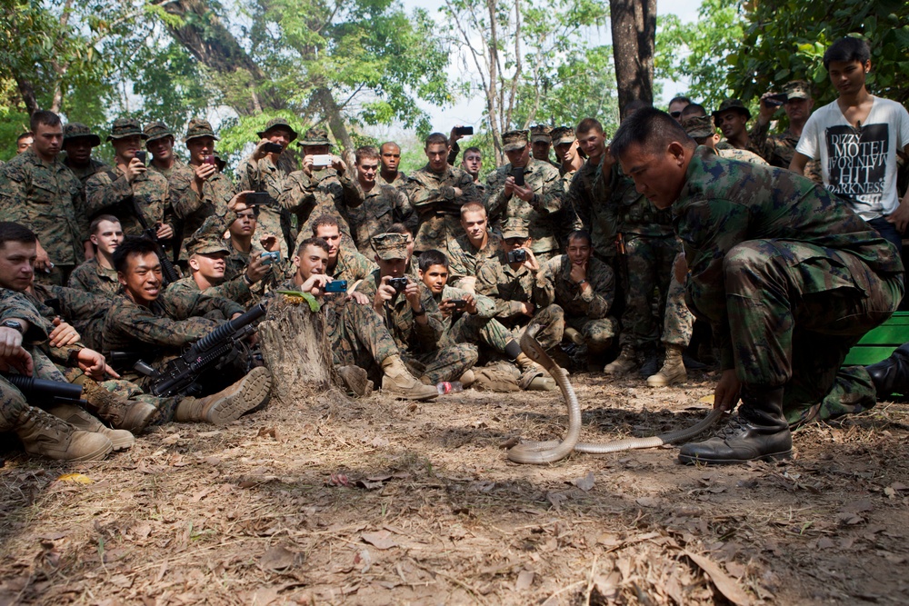 Exercise Cobra Gold 2013