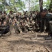 Exercise Cobra Gold 2013
