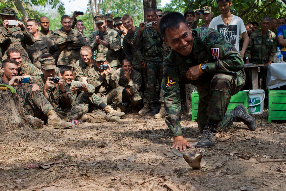 Exercise Cobra Gold 2013