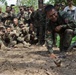 Exercise Cobra Gold 2013