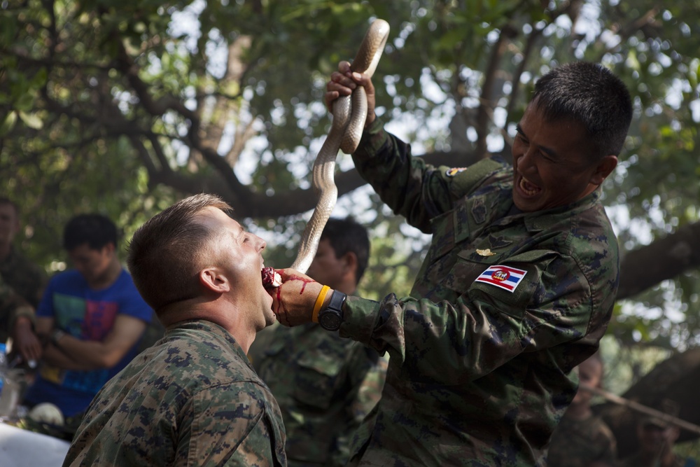 Exercise Cobra Gold 2013