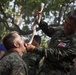 Exercise Cobra Gold 2013
