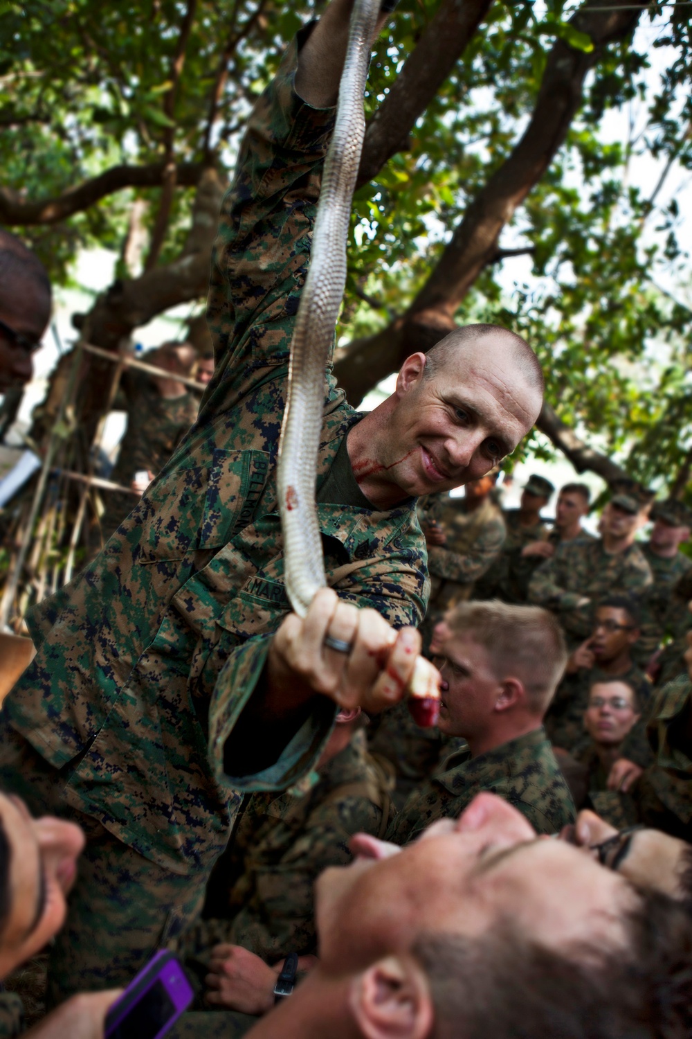 Exercise Cobra Gold 2013