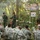 Thai, U.S. soldiers learn jungle survival skills Thai, U.S. soldiers learn jungle survival skills