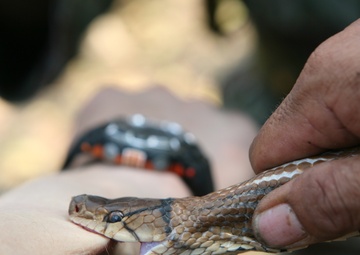 Thai, U.S. soldiers learn jungle survival skills