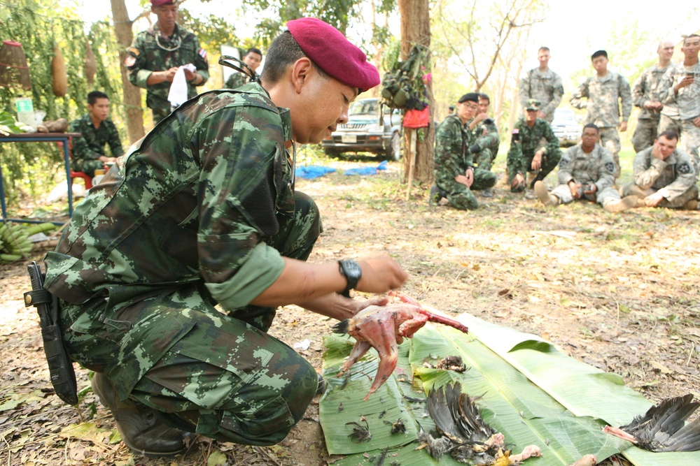 U.S. soldiers learn jungle survival skills