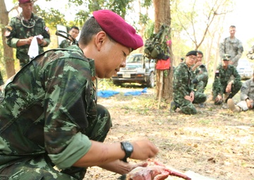 U.S. soldiers learn jungle survival skills