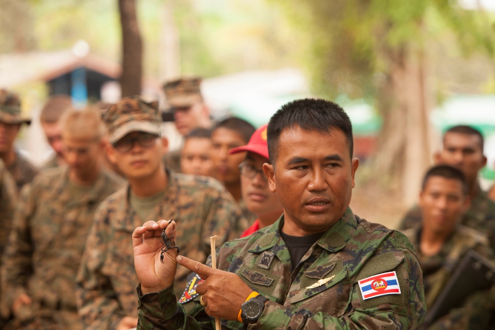 Royal Thai, US Marines conduct jungle survival training