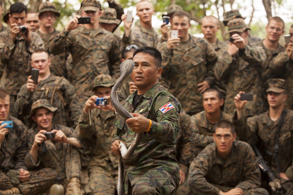 Royal Thai, US Marines conduct jungle survival training