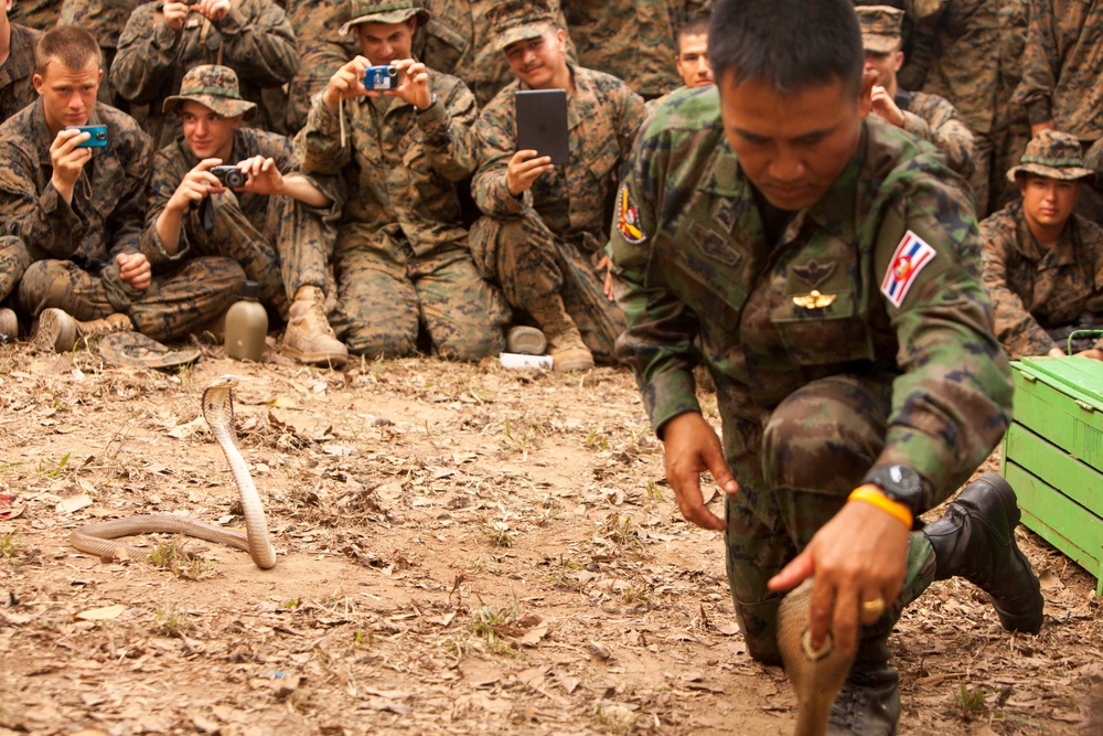 Royal Thai, US Marines conduct jungle survival training