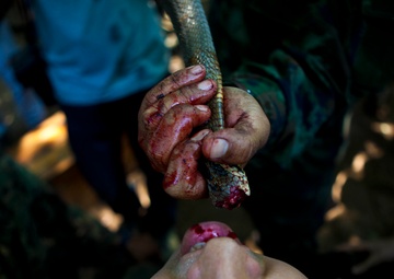 31st MEU learns jungle tricks from Thais