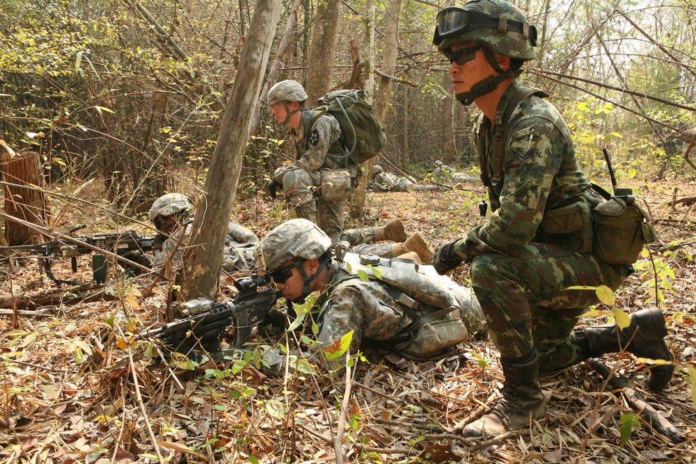 Multinational forces observe, train for culminating live-fire exercise